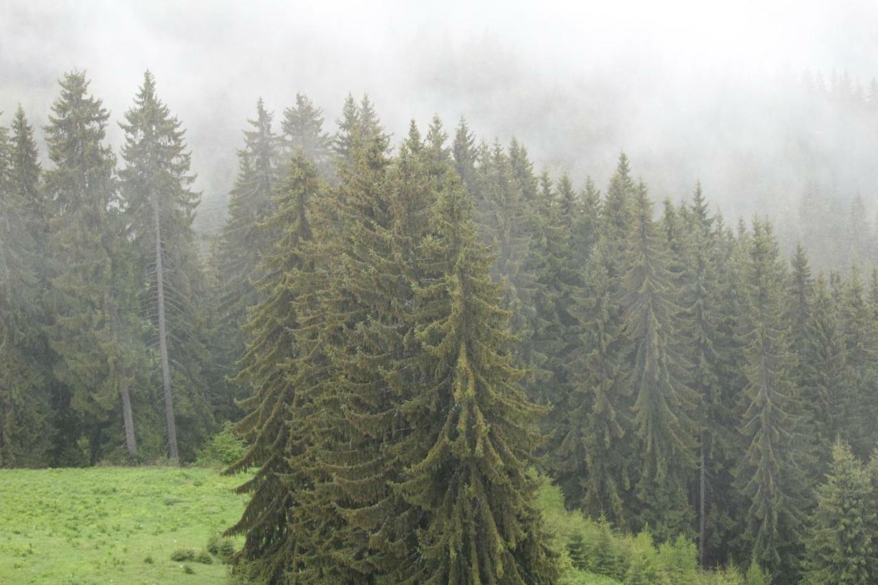 Pamporovo Hotel Snezhanka A425 Kültér fotó