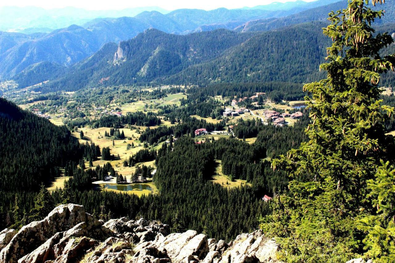 Pamporovo Hotel Snezhanka A425 Kültér fotó