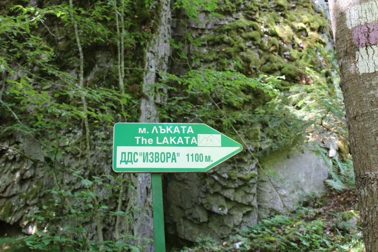 Pamporovo Hotel Snezhanka A425 Kültér fotó