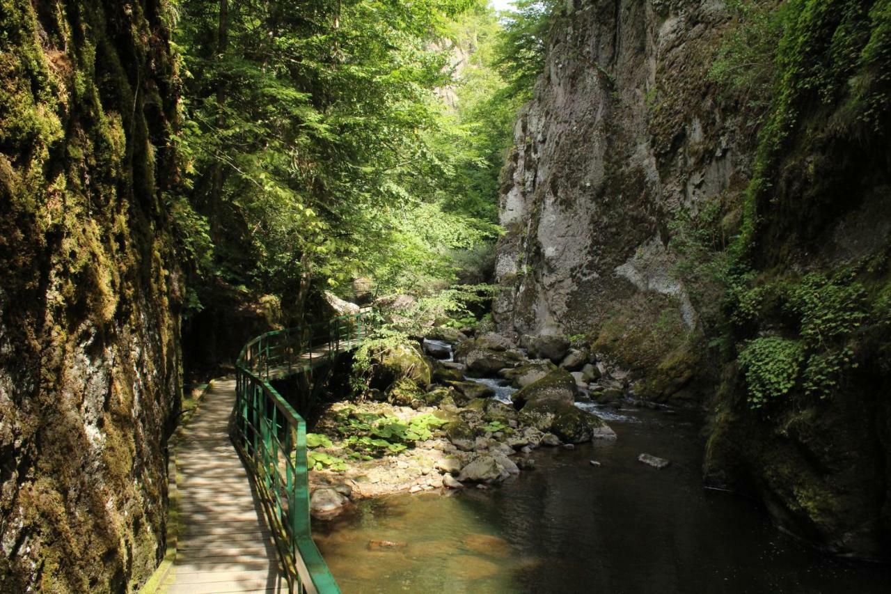Pamporovo Hotel Snezhanka A425 Kültér fotó