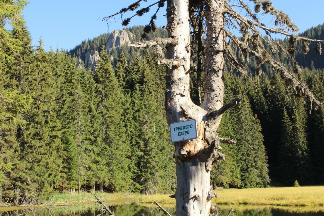 Pamporovo Hotel Snezhanka A425 Kültér fotó