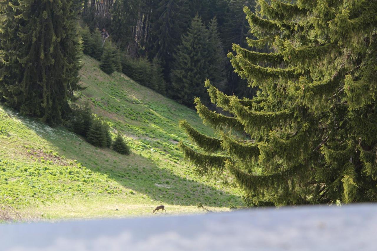 Pamporovo Hotel Snezhanka A425 Kültér fotó